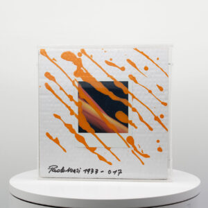 progetto POLAROID